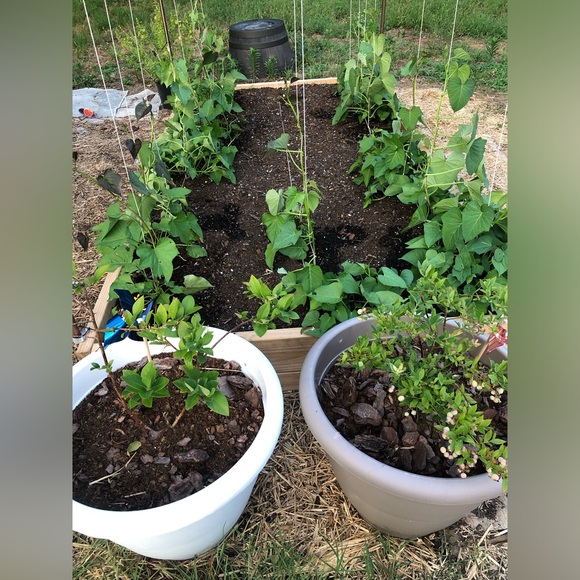 🫧🍄L.  I.  V.  E.🍄🫧 - Picture 5 of 9